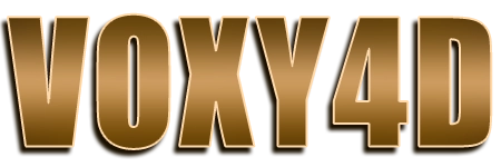 VOXY4D Logo